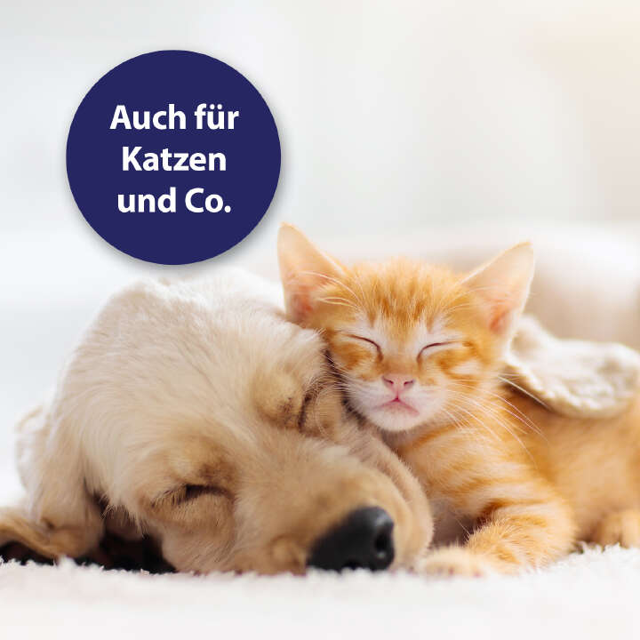 Canosept Wundgel für Hunde 20 ml